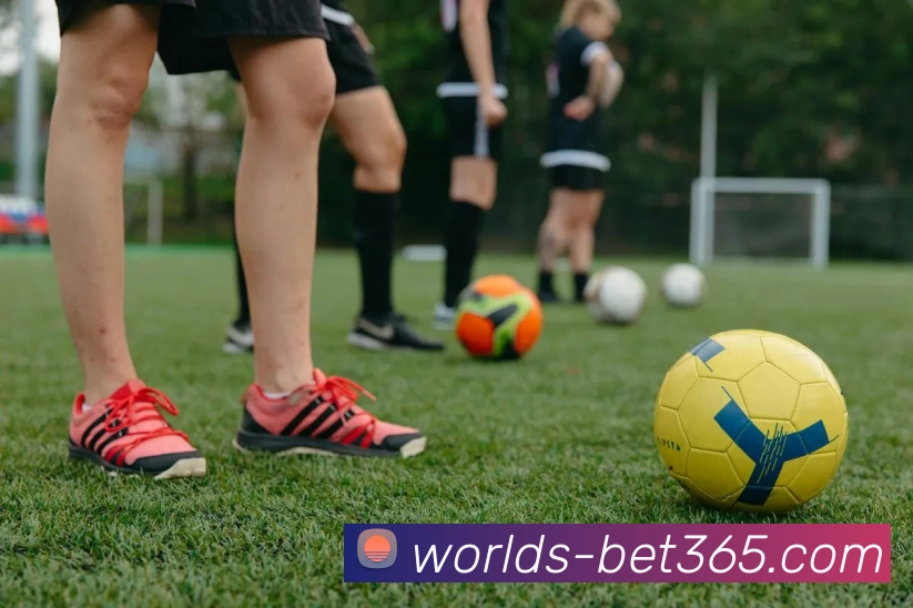 Bet365官网服务体系